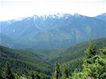 hurricane ridge xxx.jpg